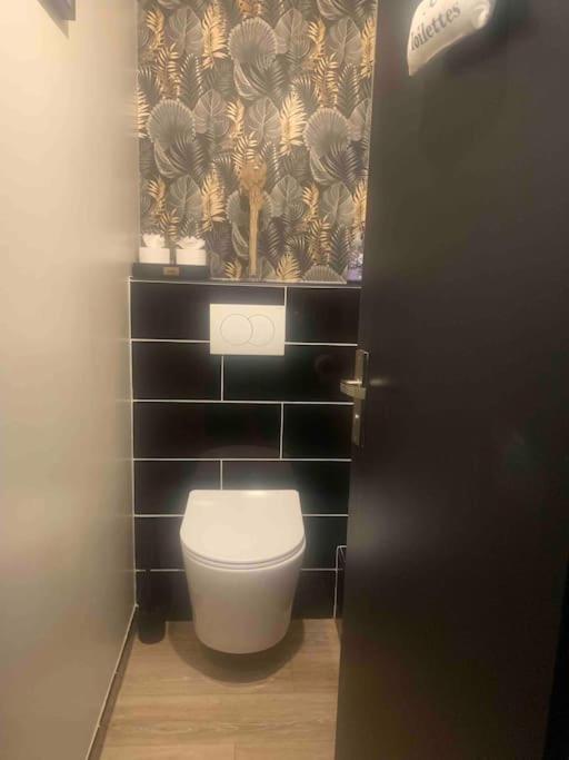 Villa 3 Chambres Parking Et Terrasse Plaisance-du-Touch Kültér fotó