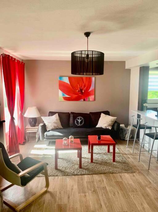 Villa 3 Chambres Parking Et Terrasse Plaisance-du-Touch Kültér fotó